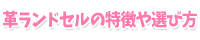 革ランドセルの特徴や選び方
